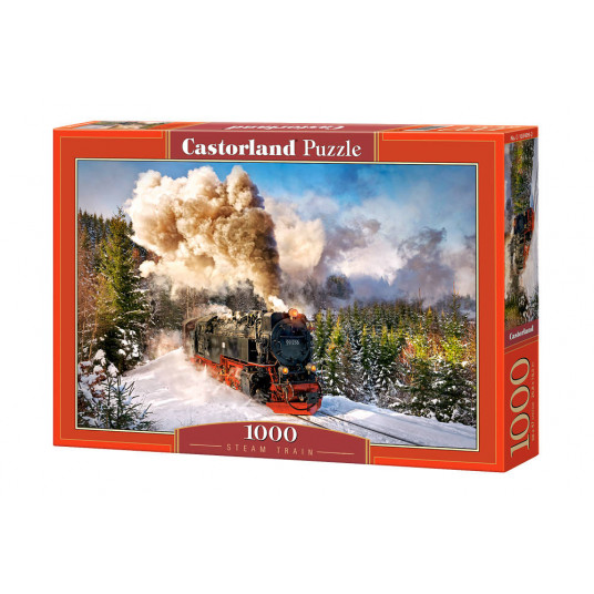 Dėlionė Castorland Steam Train, 1000 dalių