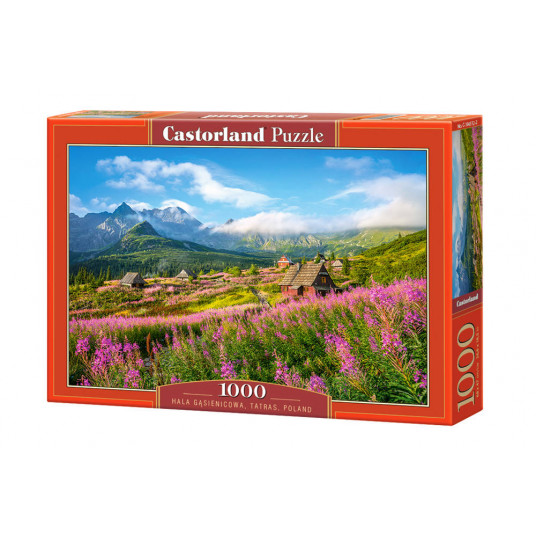 Dėlionė Castorland Tatras, Poland, 1000 dalių