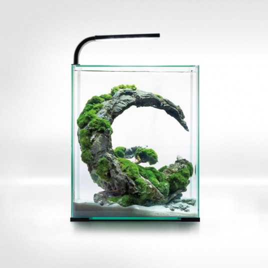 Shrimp Set Smart D&N Akvariumas krevetėms 30 l, juodas su įranga