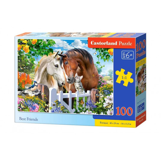 Dėlionė Castorland Best Friends, 100 dalių