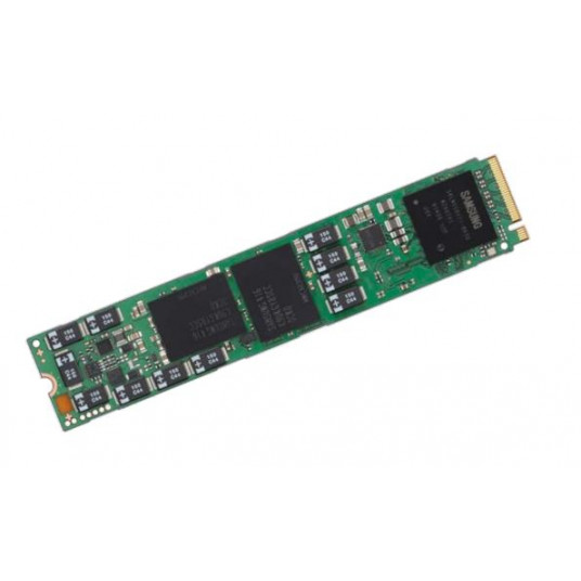 SSD|SAMSUNG|PM9A3|960GB|M.2|PCIe Gen4|NVMe|Rašymo greitis 1750 MB/sek|Nuskaitymo greitis 4500 MB/sek|MTBF 2000000 valandų|MZ1L2960HCJR-00A07