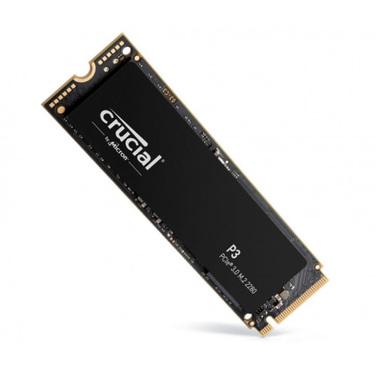 Labai svarbus P3 M.2 PCI-e NVMe 1TB