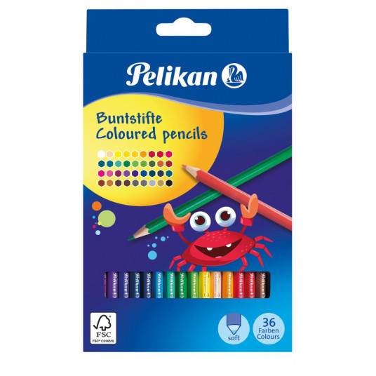 Pieštukai spalvoti 36sp