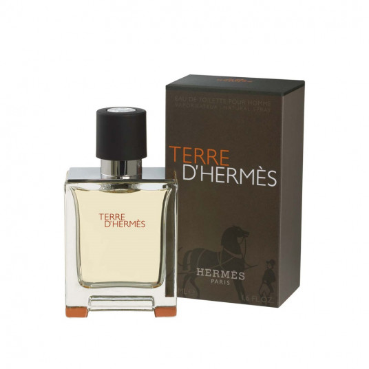 Hermes Terre D EDT Spray 50 ml for Men