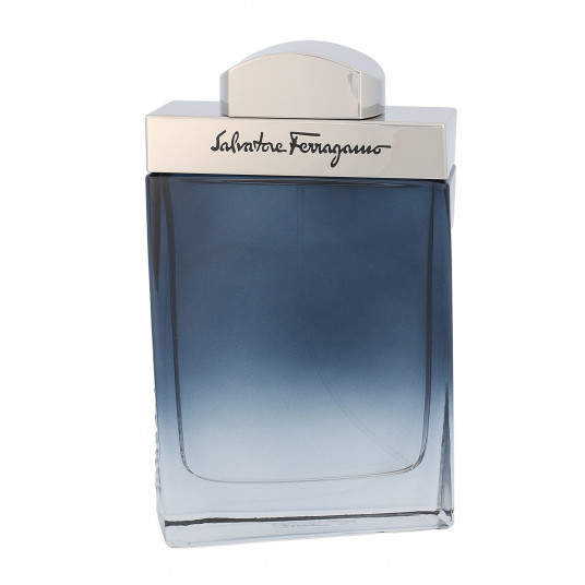 Salvatore Ferragamo Subtil EDT Spray 100 ml for Men