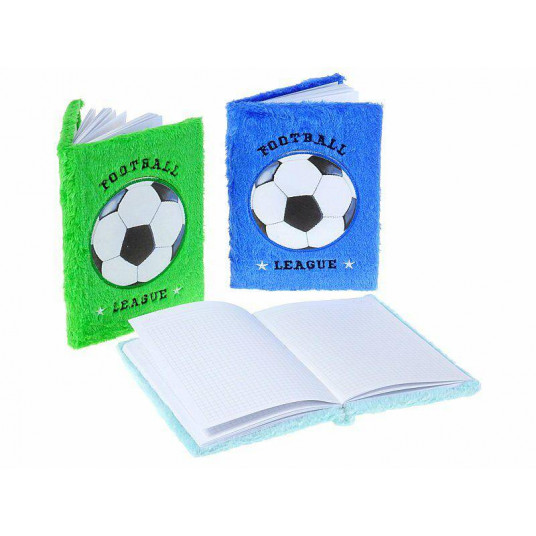 568051 NOTES FOOTBALL