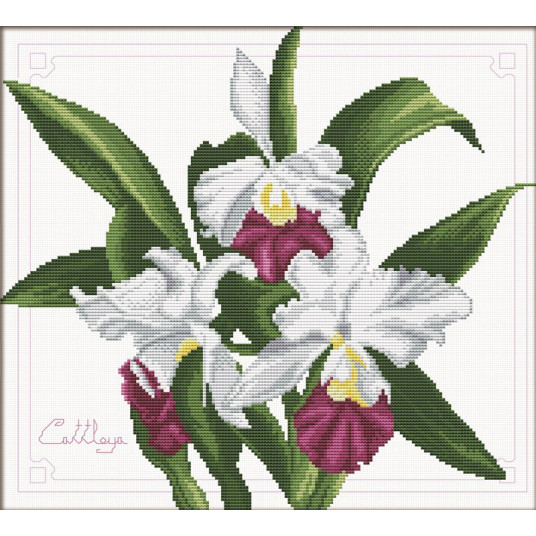Siuvinėjimo kryželiu rinkinys BOUQUET of ORCHIDS 33x29