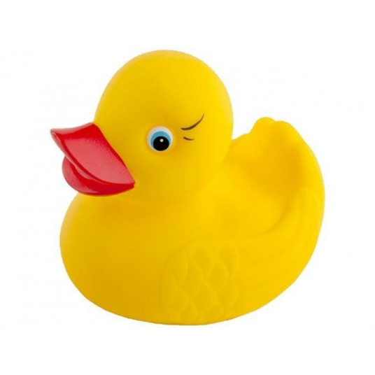 71049 Duck Toy