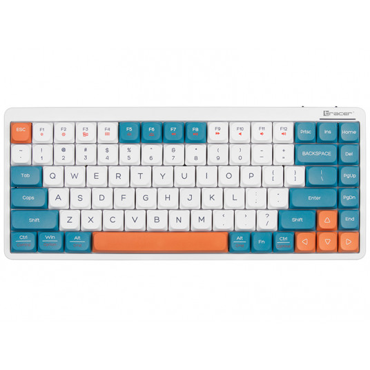 Tracer FINA 84 balta/mėlyna Outemu Red Switch