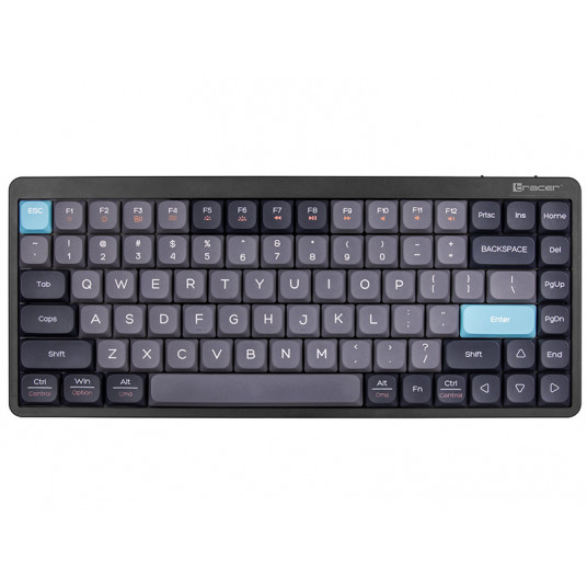 Tracer FINA 84 violetinis Outemu Red Switch
