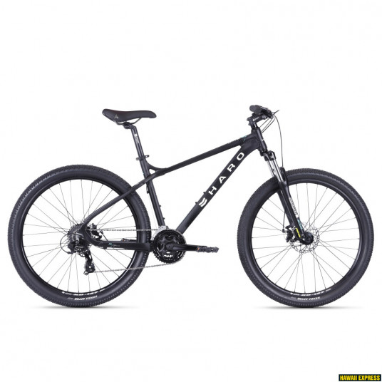 Dviratis 29 HARO FLIGHTLINE TWO 29aro - m