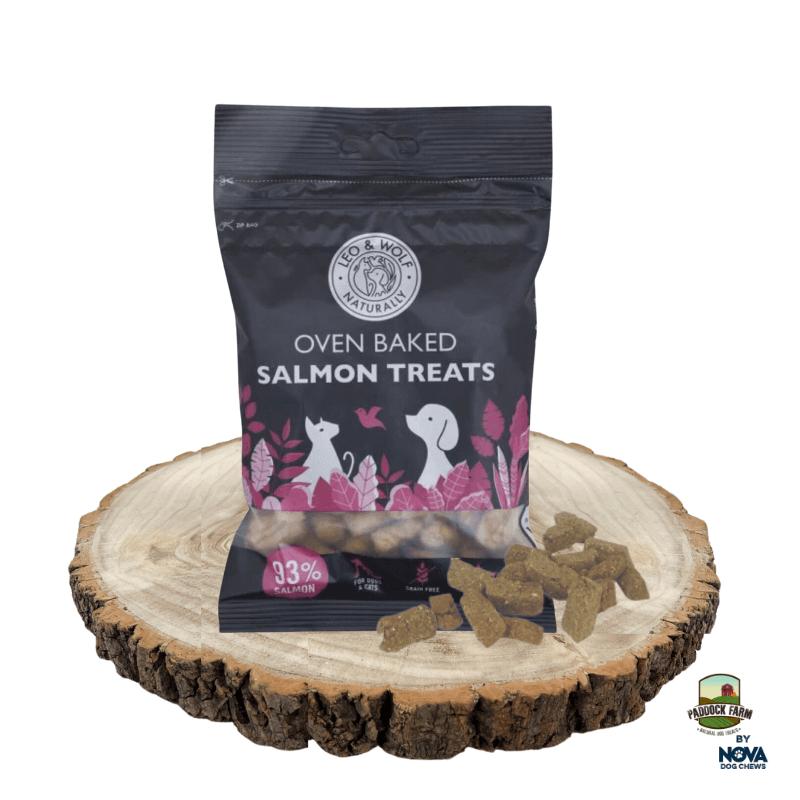 Orkaitėje kepti skanėstai šunims su lašiša „Salmon Treats“, Leo - Wolf