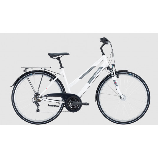 Dviratis 28 Pegasus Avanti trapez 18g baltas - m