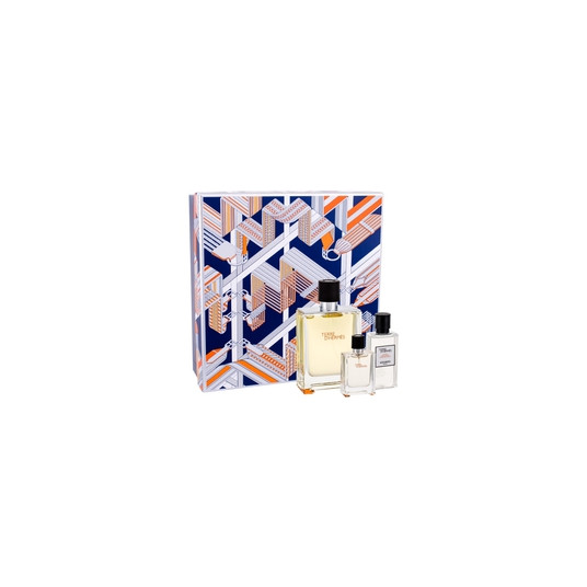 Rinkinys vyrams Hermes Terre D´Hermes EDT 100 ml + losjonas po skutimosi 40 ml + EDT 12,5 ml