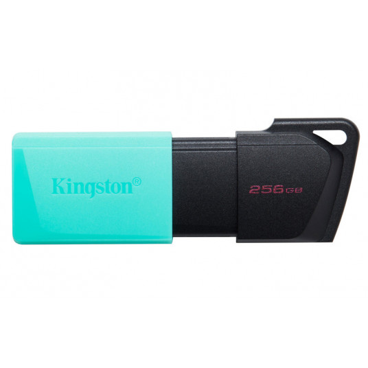 USB Raktas KINGSTON 256GB USB3.2 Gen 1 DataTraveler Exodia M