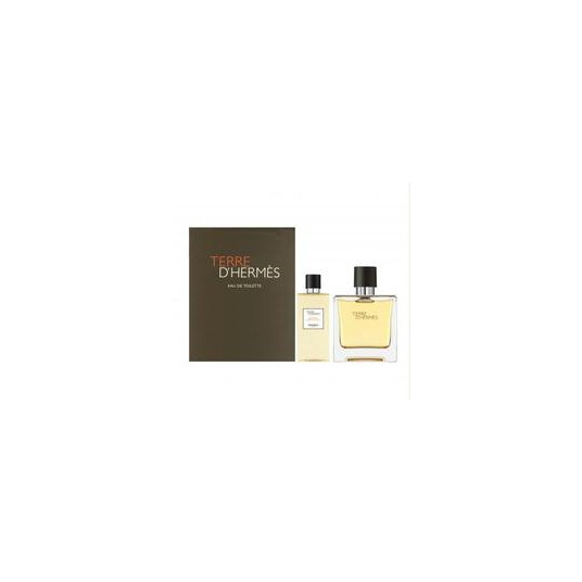 Rinkinys vyrams Hermes Terre D´Hermes EDT 100 ml + dušo želė 80 ml