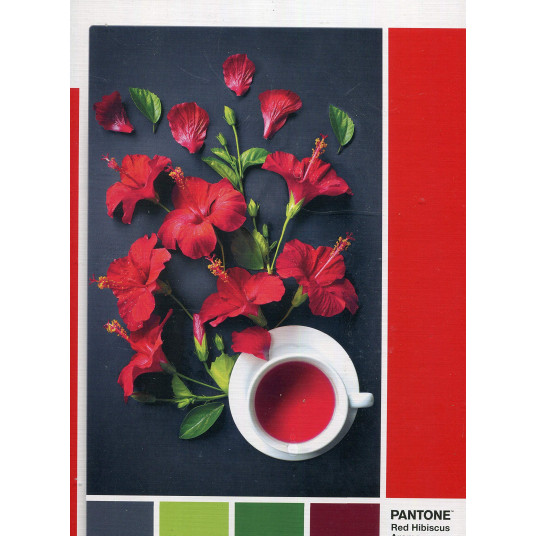 Clementoni, Pantone, Goji Berry, Puzzle, 1000 pcs, Unisex