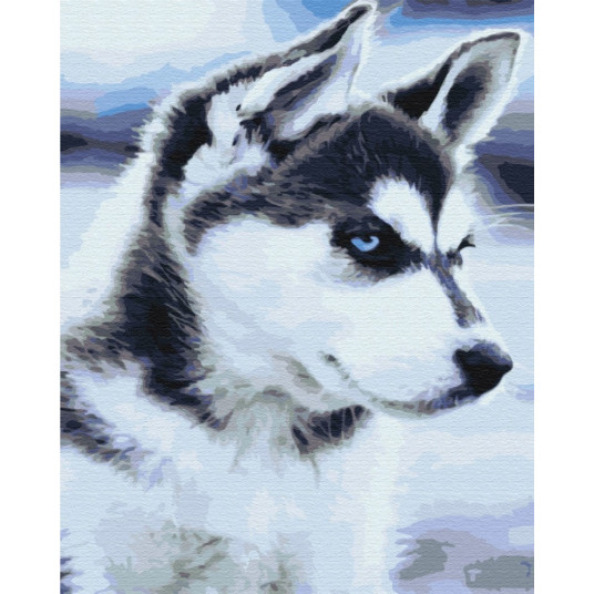 Picture Paint it! Husky puppy