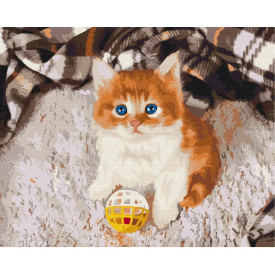 Picture Paint it - Amused kitten