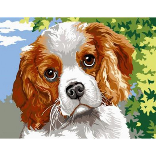 Diamond mosaic - Pinto dog