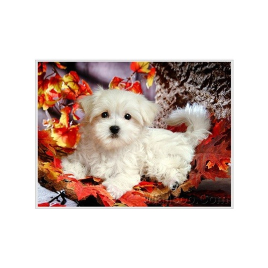 Diamond mosaic - Dog