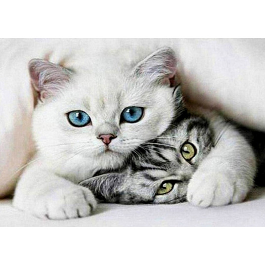 Diamond mosaic - Cats