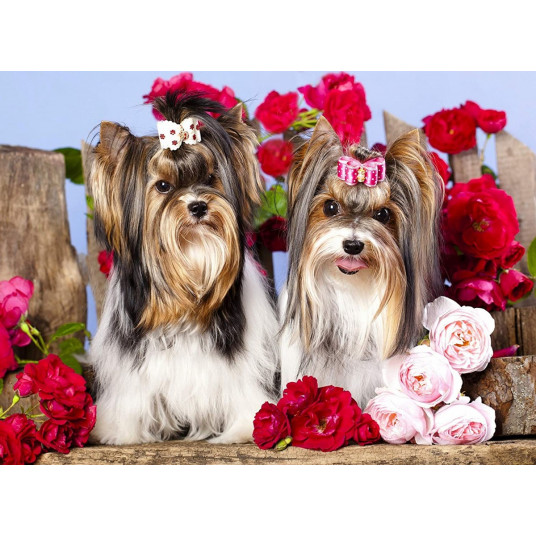Diamond mosaic - Dogs in a bow