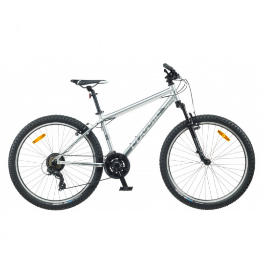 Dviratis 26" Classic Team 21 g sidabrinis - m