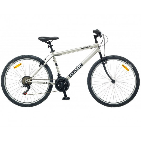 Dviratis 26" Classic MAGNUM 10 18g pilka - m
