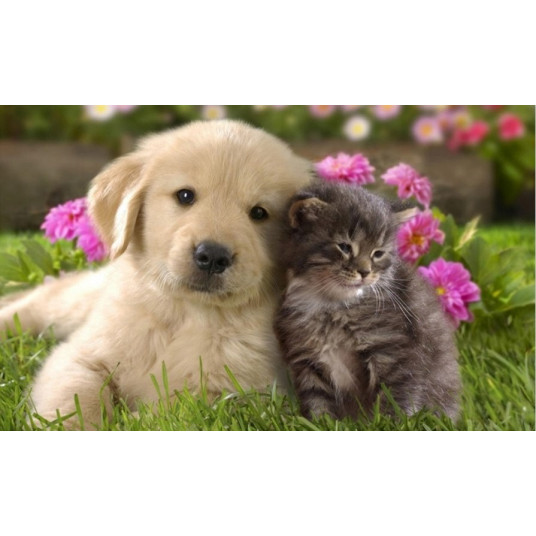 Diamond mosaic - Cat and dog