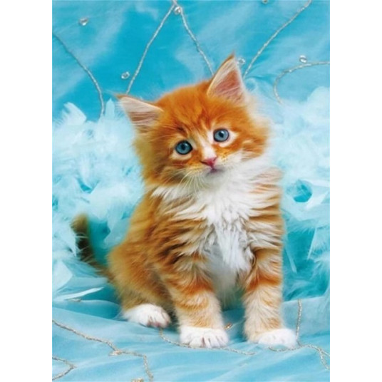 Diamond mosaic - Ginger kitten