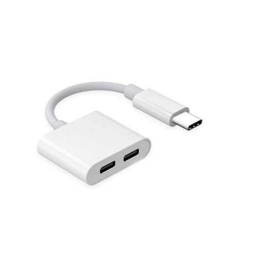RoGer JH-032 USB-C to 2x USB-C Audio adapter + Charging