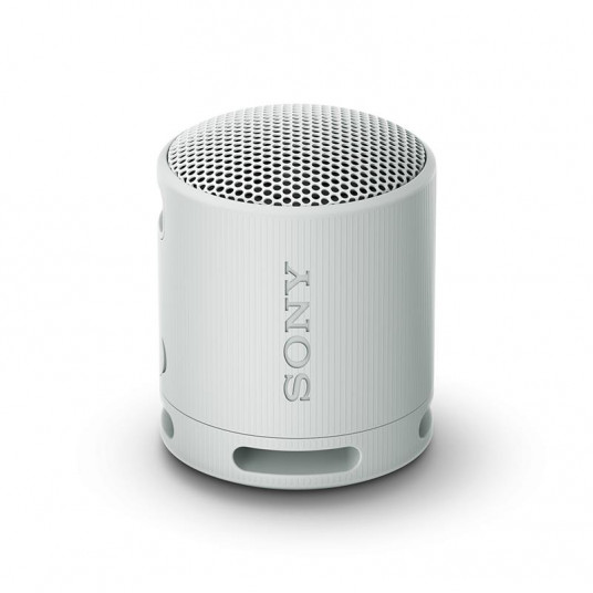Pilka Sony SRS-XB100