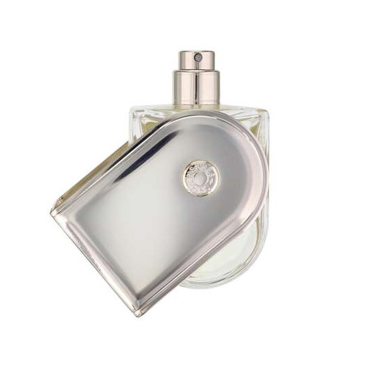 Hermès Voyage D'Hermès daugkartinis tualetinis vanduo 100 ml unisex