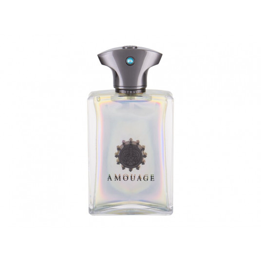 EDP Amouage Portrayal Man, 100ml