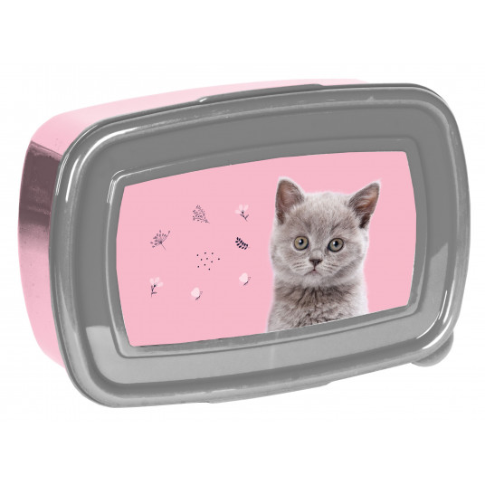 Dėžutė CAT PP24CT-3022