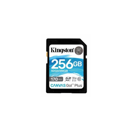 Kingston 256GB Canvas Go Plus atminties kortelė