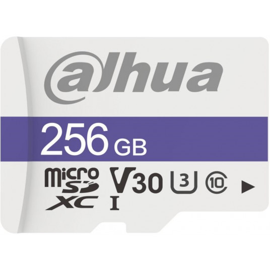 DAHUA TF-C100/256GB 256GB atminties kortelė