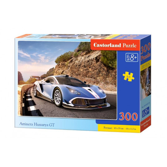 Dėlionė 300 vnt. Arrinera Hussarya GT