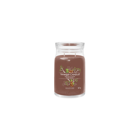 Yankee Candle Praline & Birch 567 g