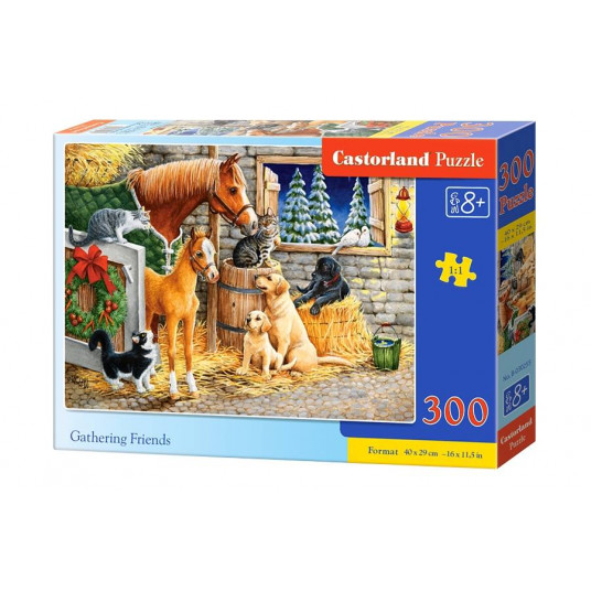 Dėlionė 300 vienetų Draugų rinkimas