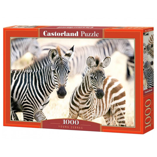 Dėlionė 1000 dalių- zebrai
