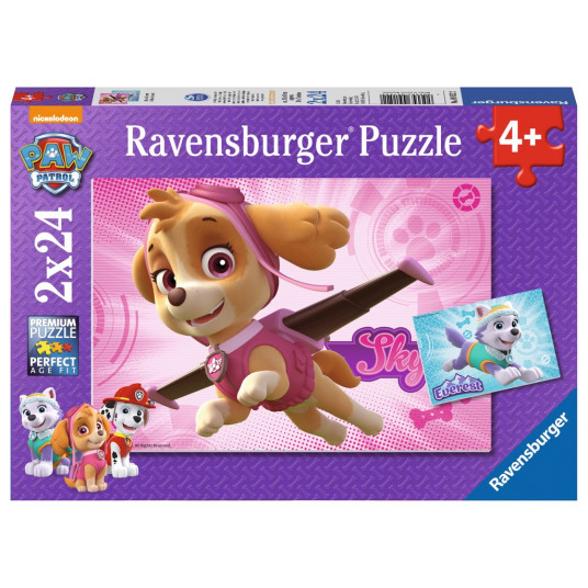 Paw Patrol