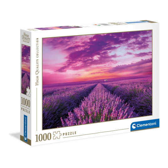 Lavender Field