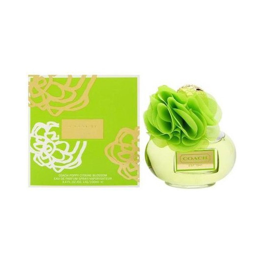 Coach Poppy Citrine Blossom EDP Spray 100 ml for Women