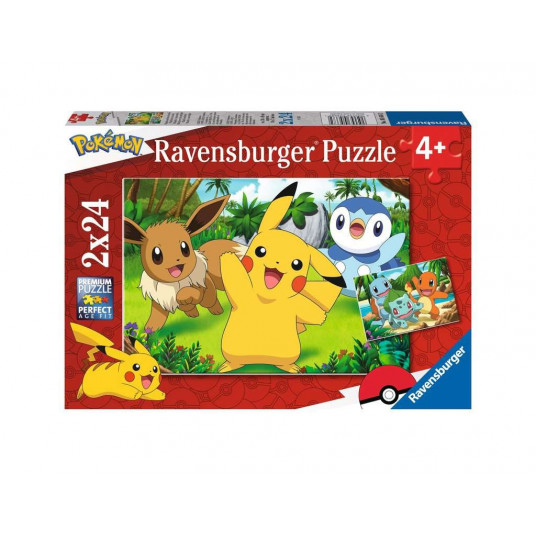 Puzzle 2x24 elements Pokemon