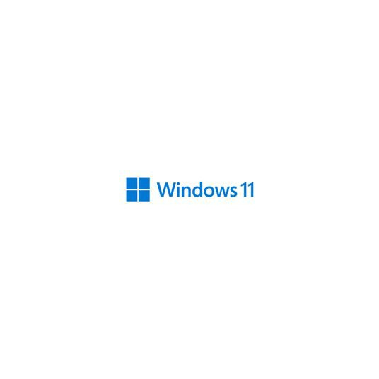 MS 1xWin 11 Pro 64 bitų 1pk DSP DVD(FI)