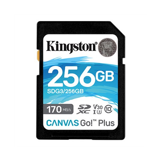 Kingston Canvas Go! Pliusas - flashhukomm