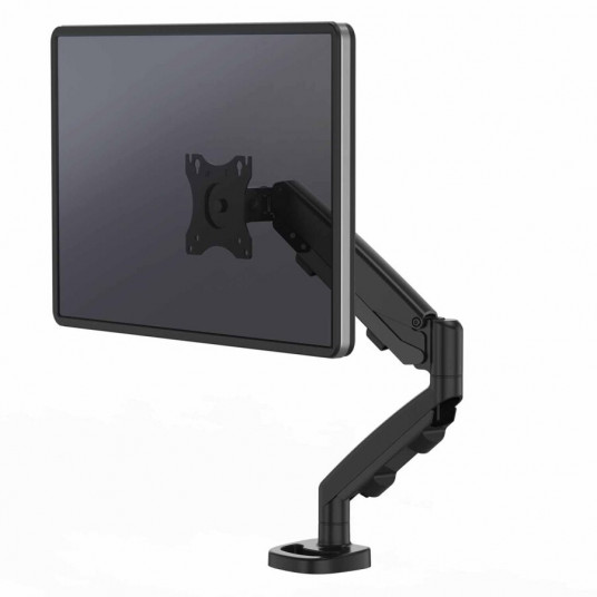 Fellowes ergonominis porankis 1 monitoriui EPPA™ juodas
