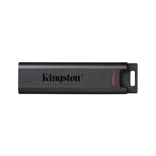 Kingston DataTraveler MAX 256 GB USB-C